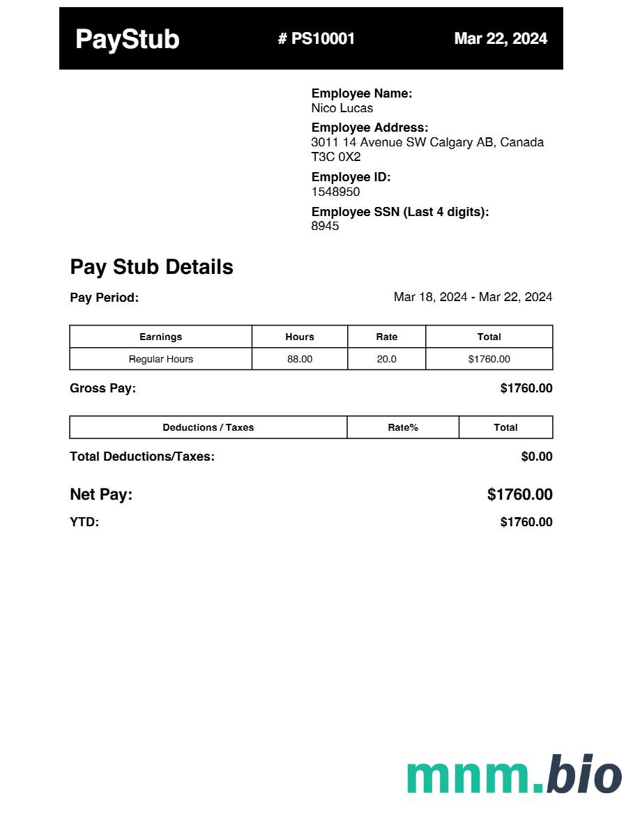 zarobki pay stub szablon w formacie Word i PDF